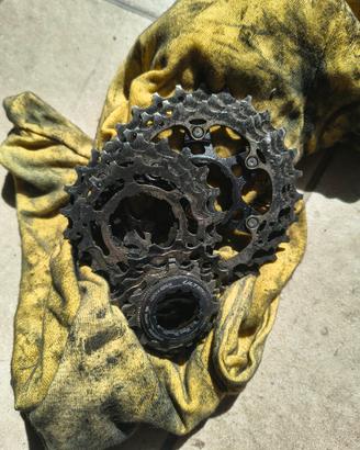 pacco Pignoni Shimano Ultegra 11 velocità 