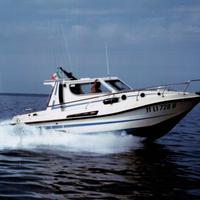 Barca a motore sagene 81