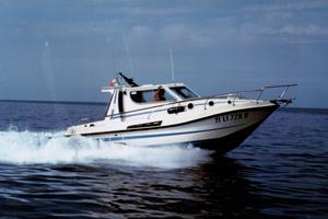 Barca a motore sagene 81