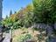 Immagine 14