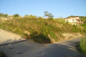 Terreno edificabile 1000mq Amantea