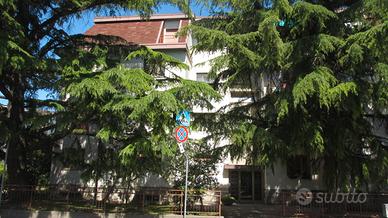 Monfalcone, appartamento bicamere in residence