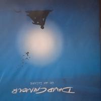 David Gilmour VINILI