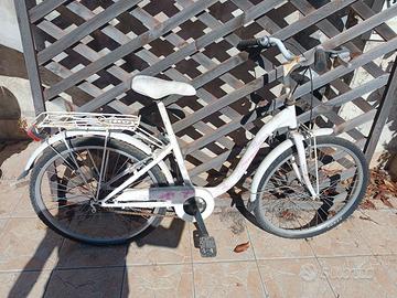 bicicletta da passeggio 