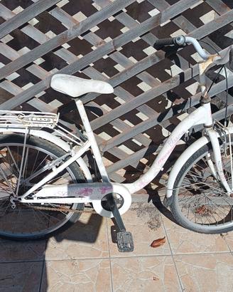 bicicletta da passeggio 