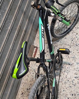 bici MTB bambino kawasaki