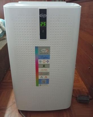 Climatizzatore