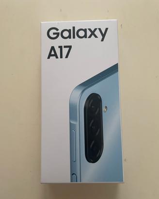 Samsung Galxy A17