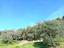 Immagine 14