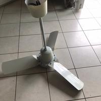 Ventola