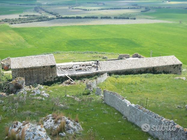 Terreno con masseria - INVESTIMENTO - FINANZIABILE