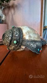 Conchiglia rituale tibetana (Dungkhar) 