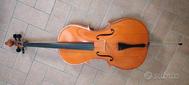 violoncello 