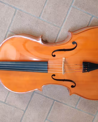 violoncello 