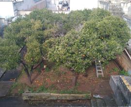 Abitazione Indipendente con giardino