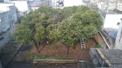 Abitazione Indipendente con giardino