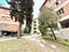 Immagine 9