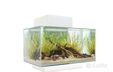 Acquario  23 lt