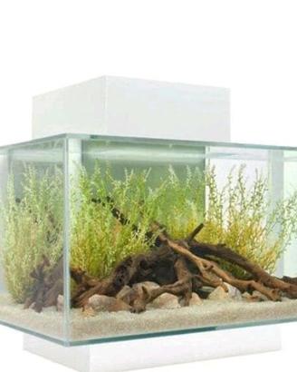 Acquario  23 lt