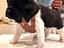Immagine 1