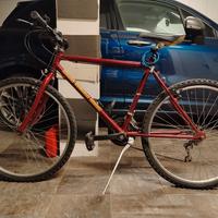 Bicicletta Mountain Bike
