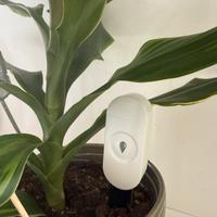 Sensore prato piante