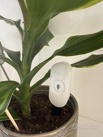 Sensore prato piante