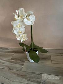 Pianta orchidea artificiale in vaso