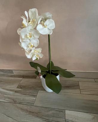 Pianta orchidea artificiale in vaso