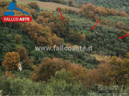 TRIBUNALE DI SALERNO - RG 155/2019 Terreni in asta - Vista 3