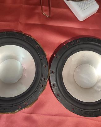 Casse Magnat Xcentric 216