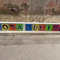 INSEGNA LUMINOSA CASSONATA