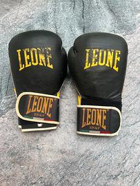 Muay thai protezioni