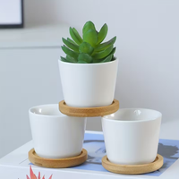 12 Pezzi di Vasi in Ceramica Mini - Bomboniera