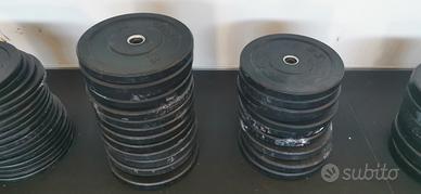 dischi bumper foro 50