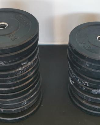 dischi bumper foro 50