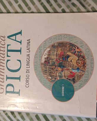 Libro Grammatica Picta Lezioni 1