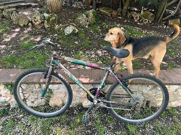 Bici da fuoristrada