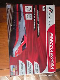 Treno Frecciarossa in scala 1:43.
