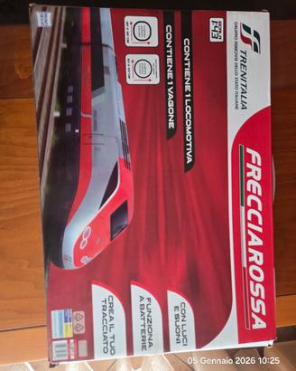 Treno Frecciarossa in scala 1:43.
