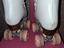 Immagine 5
