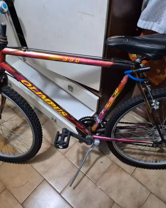 MOUNTAIN BIKE USATA