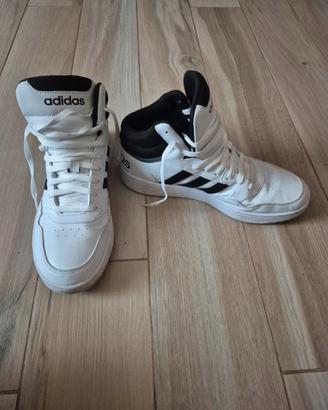 Scarpe Adidas Hoops GW3019