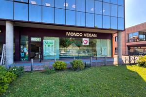 ATTIVITÀ A SALÒ