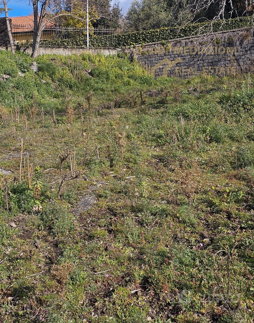 Terreno Panoramico Con Rudere - Vista 5