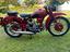 Immagine 5