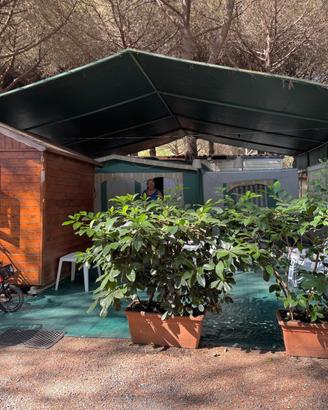 Roulotte Hobby + Veranda e Cucinotto Camping Sole