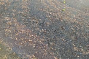terreno agricolo 