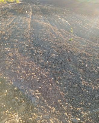 terreno agricolo 
