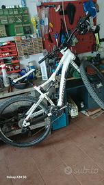 mountain bike cannondale lefty